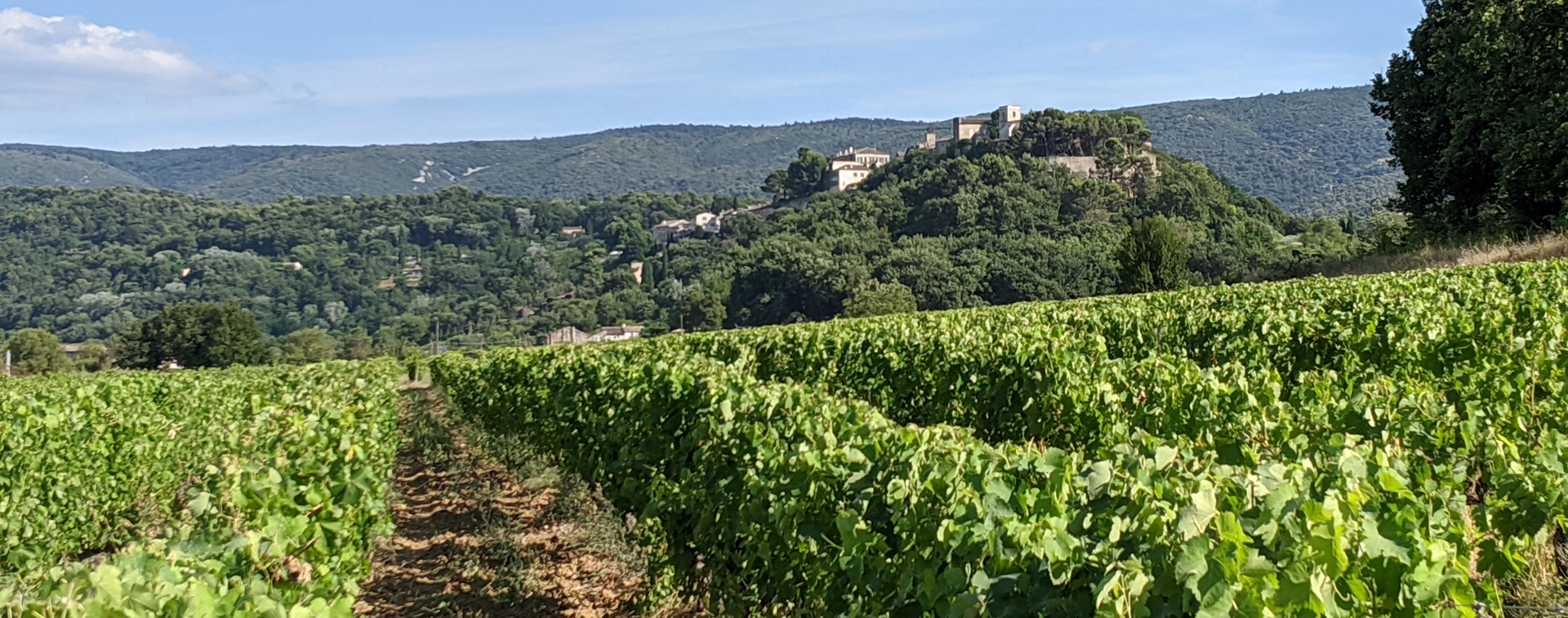 domaine de la citadelle, Ménerbes, Yves Rousset-Rouard, musée tire-bouchon, jardin botanique